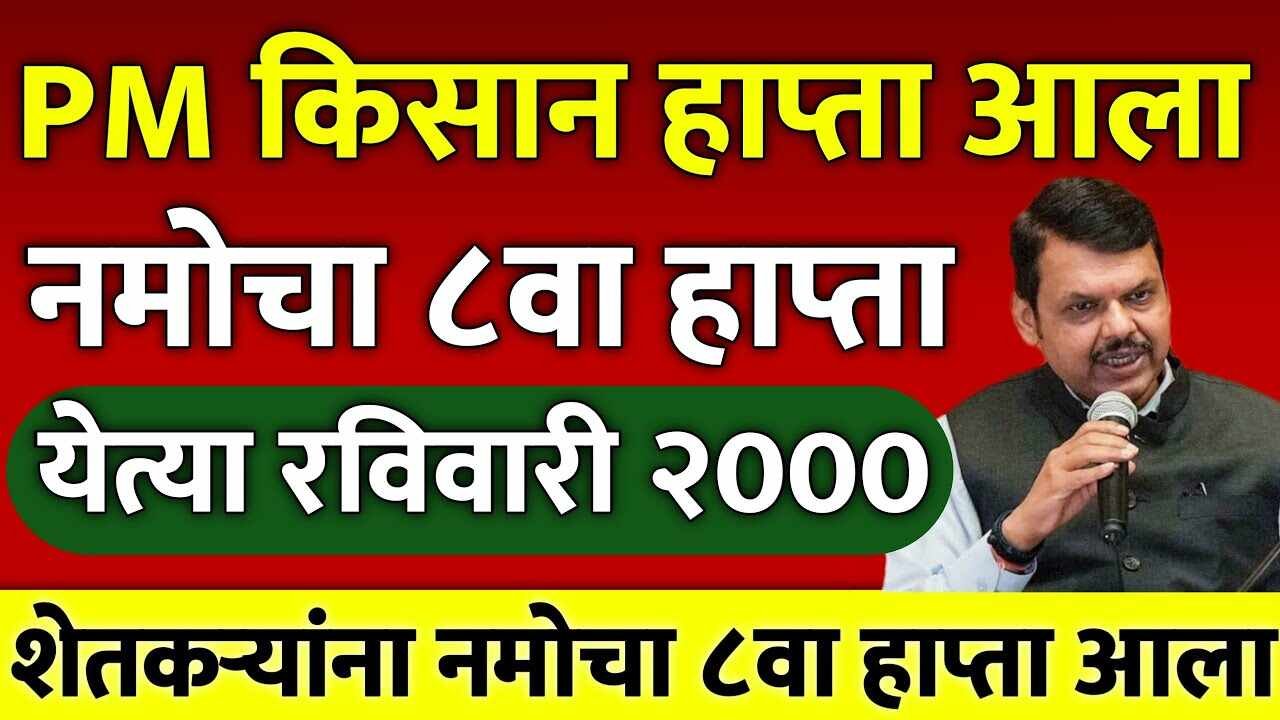 नमो शेतकरी योजना ८ वा हप्ता अपडेट: जाणून घ्या अधिकृत तारीख आणि शासन निर्णय Namo Shetkari Yojana Status
